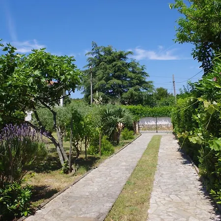 Jasna Holiday home *